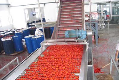 Tomato Processing Line 1