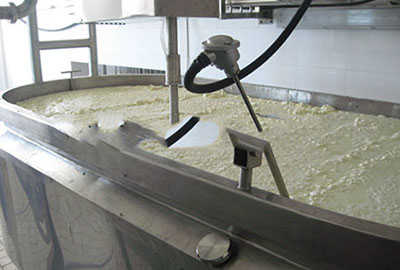Cheese Processing Line 1