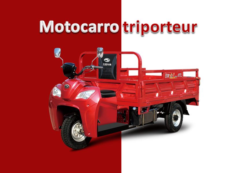 Motocarro triporteur carguero-Weichai lovol 250CC