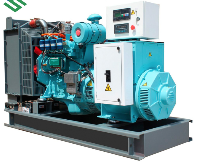 Biogas Power Generator