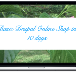basic-drupal-online-shop-in-10-days_0.png