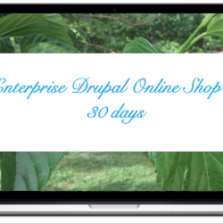 enterprise-drupal-online-shop-in-30-days.png