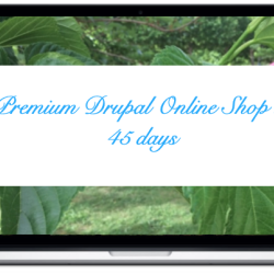 premium-drupal-online-shop-in-45-days.png 