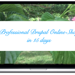 professional-drupal-online-shop-in-15-days.png