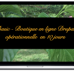 basic-boutique-en-ligne-drupal-operationnelle-en-10-jours