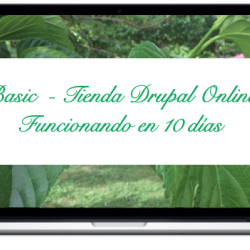 basic-tienda-drupal-online-funcionando-en-10-dias