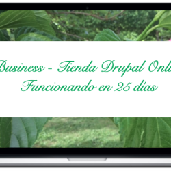 business-tienda-drupal-online-funcionando-en-25-dias