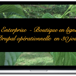 enterprise-boutique-en-ligne-drupal-operationnelle-en-30-jours