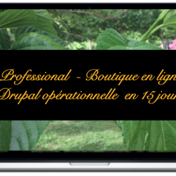 professional-boutique-en-ligne-drupal-operationnelle-en-15-jours_0.png