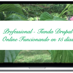 professional-tienda-drupal-online-funcionando-en-15-dias_0
