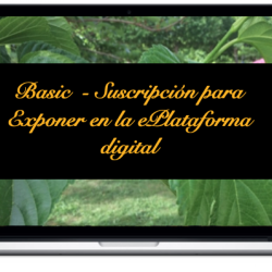 basic-suscripcion-para-exponer-en-la-eplataforma-digital_0