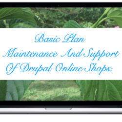 basic-maintenance-and-support-drupal-online-shops_11