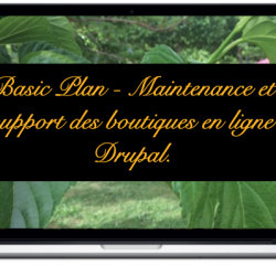 basic-maintenance-et-support-des-boutiques-en-ligne-drupal.png