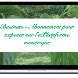 business-abonnement-pour-exposer-sur-leplateforme-numerique