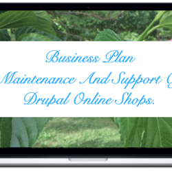 business-maintenance-and-support-drupal-online-shops