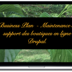 business-maintenance-et-support-des-boutiques-en-ligne-drupal_2