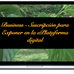 business-suscripcion-para-exponer-en-la-eplataforma-digital