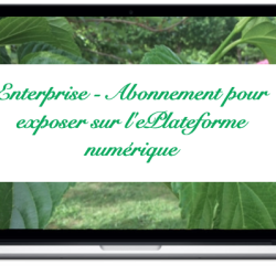 enterprise-abonnement-pour-exposer-sur-leplateforme-numerique