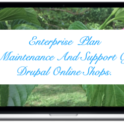 entreprise-maintenance-and-support-drupal-online-shops