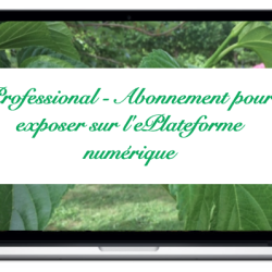 professional-abonnement-pour-exposer-sur-leplateforme-numerique_0
