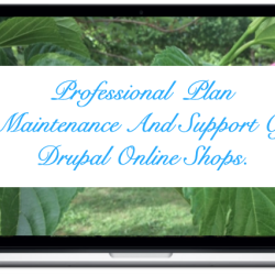 professional-maintenance-and-support-drupal-online-shops