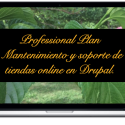 professional-mantenimiento-y-soporte-de-tiendas-online-en-drupal