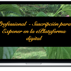 professional-suscripcion-para-exponer-en-la-eplataforma-digital_0