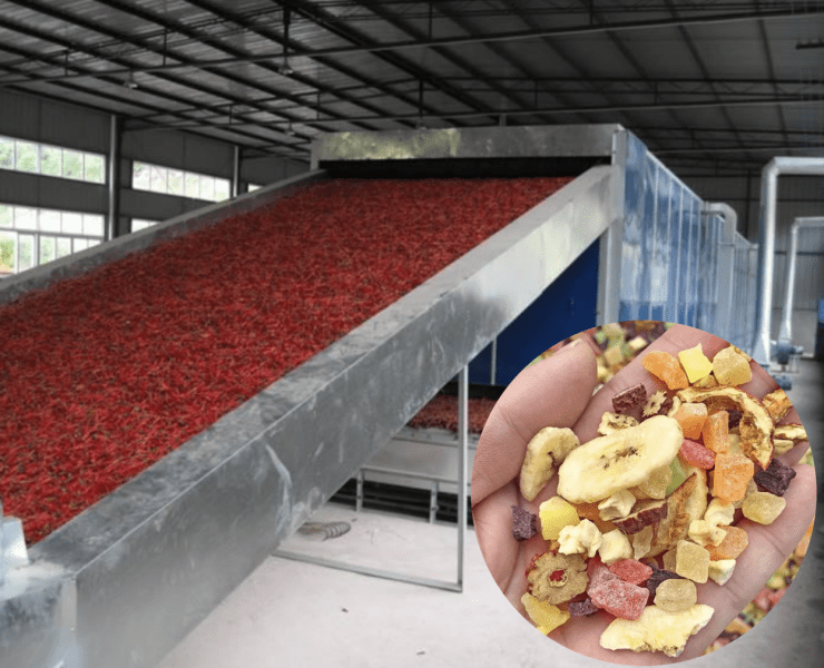 Dehydrated fruit vegetable processing line