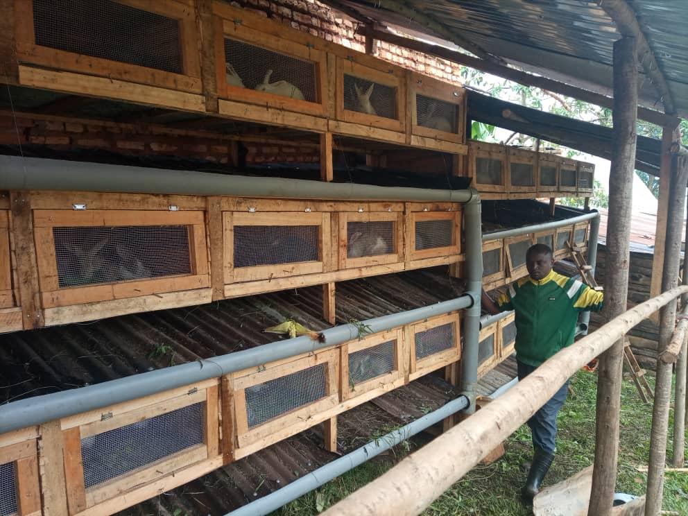 Integrated Rabbit Farming and Organic Farming Project - Rabbit breeding boxes