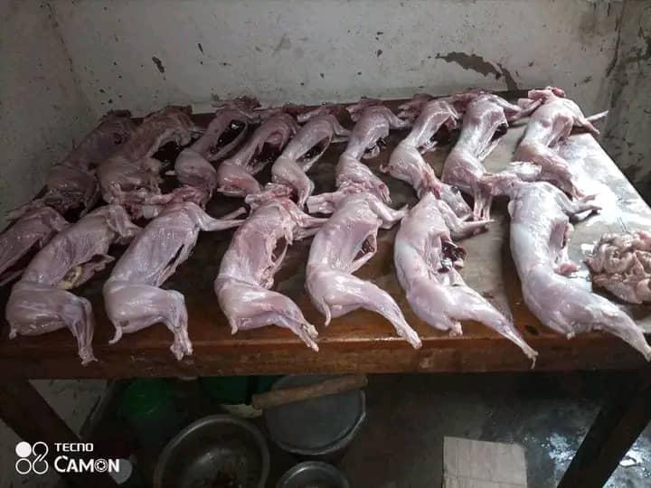 Integrated Rabbit Farming and Organic Farming Project - Rabbit meat