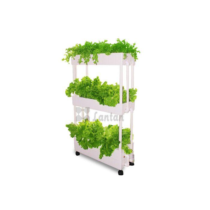 Three Layer NFT hydroponic box 1