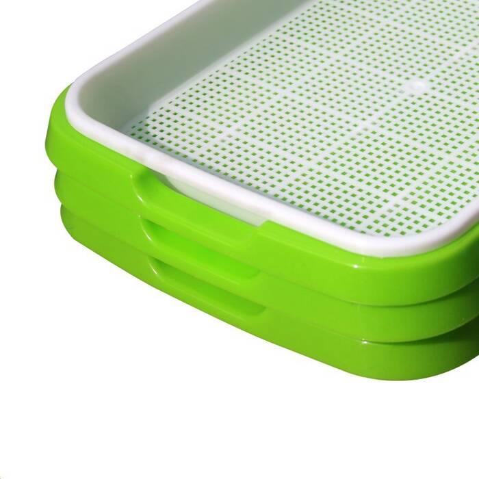 PP Material Sprout Trays