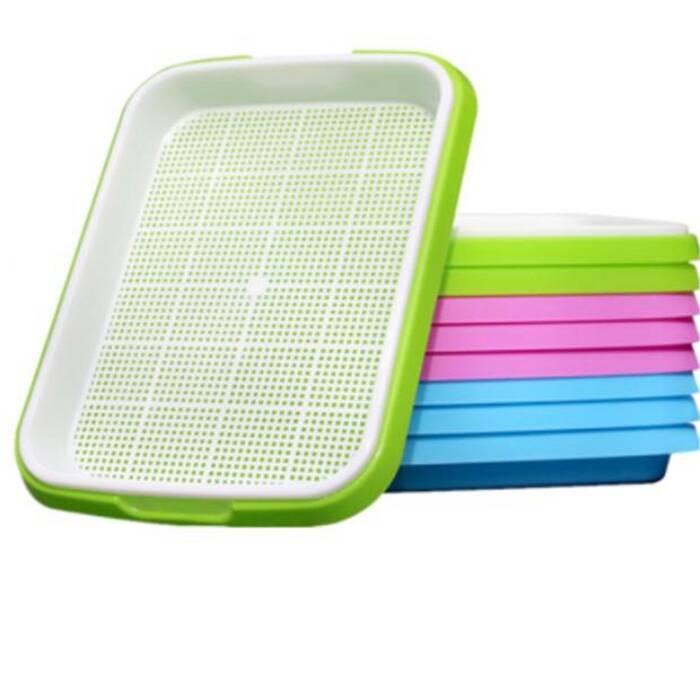 PP Material Sprout Trays