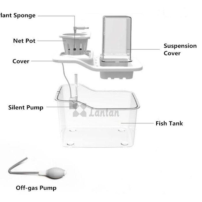 Mini Aquaponic Garden