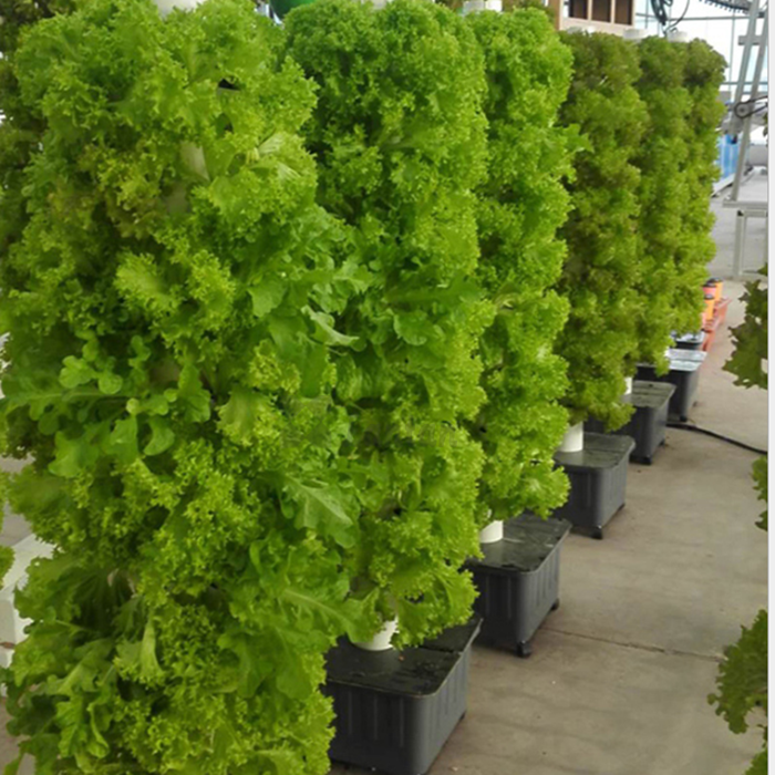 New type plastic Vertical Hydroponic planter for vegetable 4