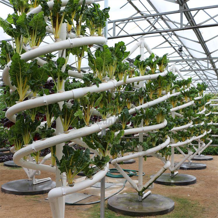 Hydroponic vertical spiral tower 4