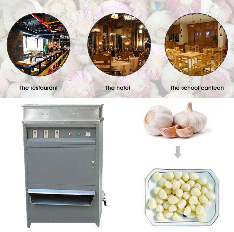 Dry Type Garlic Peeling Machine 2