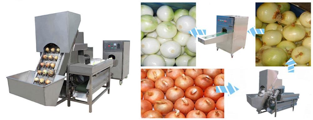 Automatic Onion Peeling & Root Cutting Machine 3