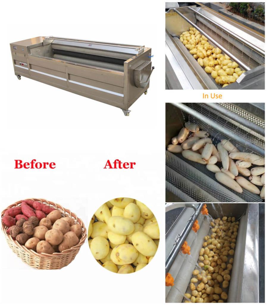 Brush Type Vegetable Washing & Peeling Machine