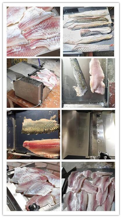 Fish Skinning Machine 3