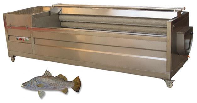 Fish Scaler Machine 2