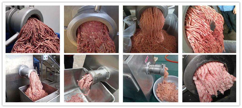 Frozen Meat Grinder 4