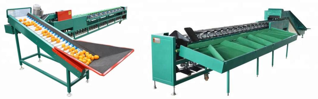 Automatic Fruit Grading Machine 2