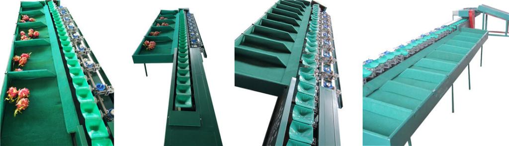 Automatic Fruit Grading Machine 3