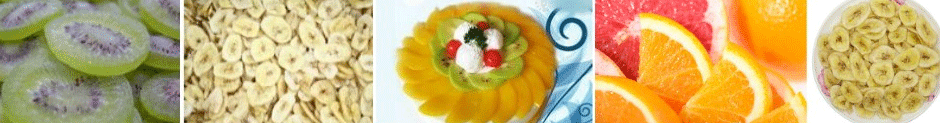 Fruit Slicing Machine 3