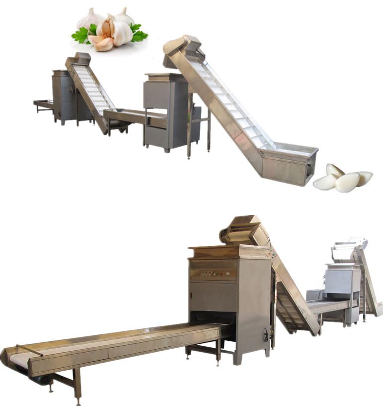 Garlic Separating & Peeling Production Line 2