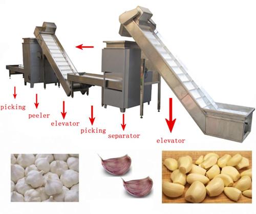 Garlic Separating & Peeling Production Line 3