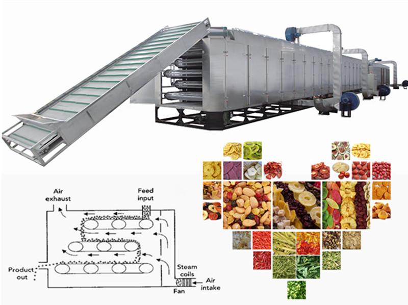 Belt Type Fruit and Vegetable Drying Machine 2