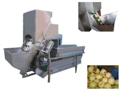 Automatic Onion Peeling & Root Cutting Machine 2