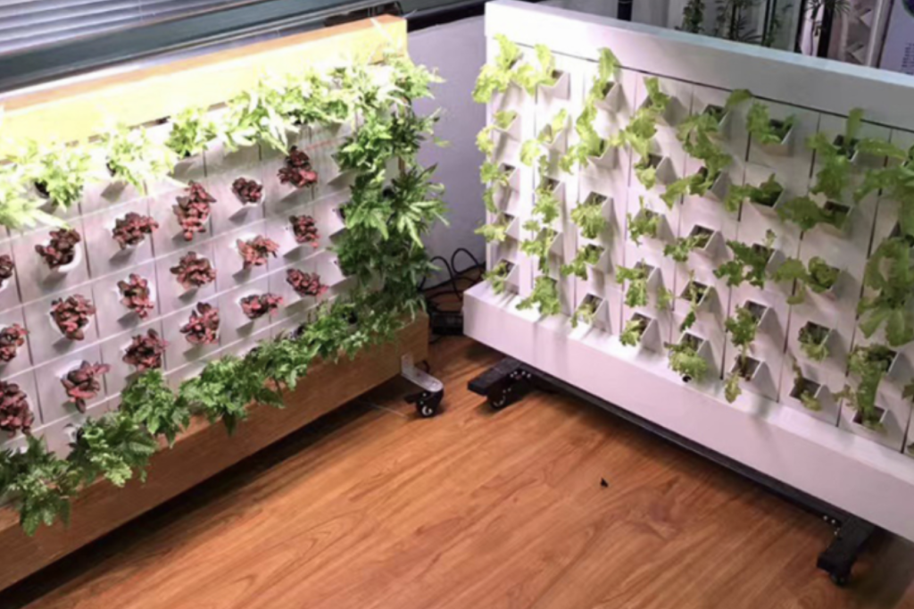 NFT VERTICAL HYDROPONIC WALL 5